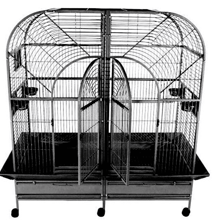 Buy A&E Cage Co. 64